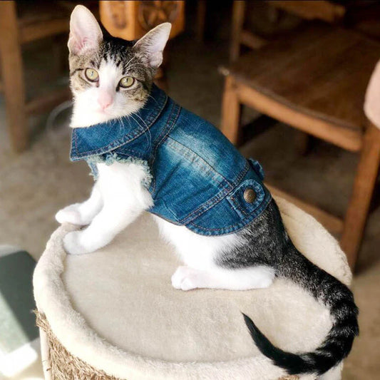 Pet Vest | Denim