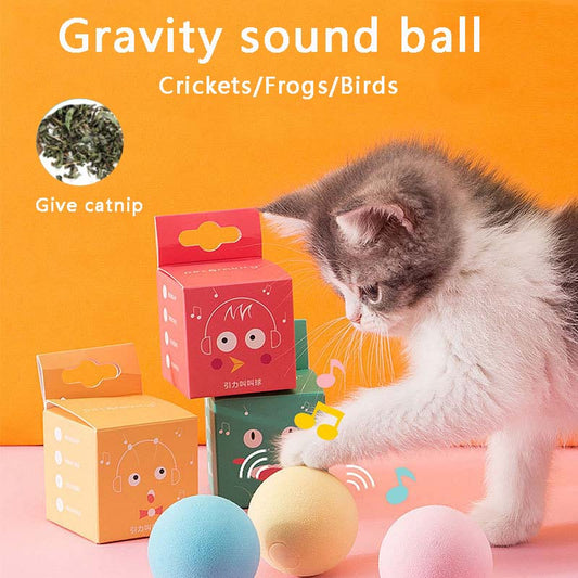 Cat Toy | Interactive Ball
